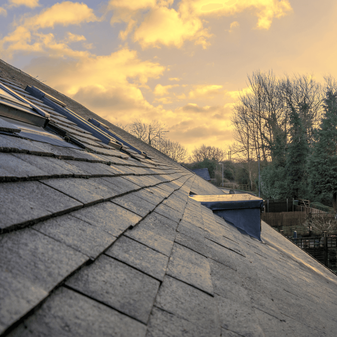 Roof at dusk 2